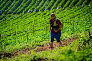 BIB: 
                            <button type="button" onclick="openModal(19162179)" class="btn btn-primary btn-sm float-right btn-popup" data-toggle="modal" data-target=".modal-high-quality">
                        <i class="fas fa-shopping-cart"></i> Add to Cart
                    </button>
                                            <button type="button" onclick="isThisMe(19162179, true)" class="btn btn-success btn-sm float-right btn-popup btn-isme hidden" data-toggle="tooltip" data-placement="bottom" title="นี่คือรูปของคุณใช่ไหม คลิกที่นี่เพื่อเอาเข้าอัลบั้ม">
                        <i class="fas fa-plus"></i> Add to album
                    </button>
                    <button type="button" onclick="isThisMe(19162179, false)" class="btn btn-warning btn-sm float-right btn-popup btn-isnotme hidden">
                        <i class="fas fa-ban"></i> Remove from album
                    </button>